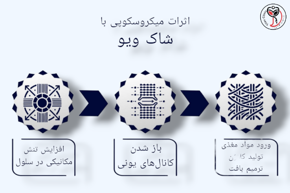 اثرات میکروسکوپی شاک ویو