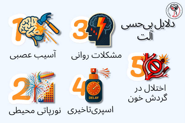 بی حسی آلت