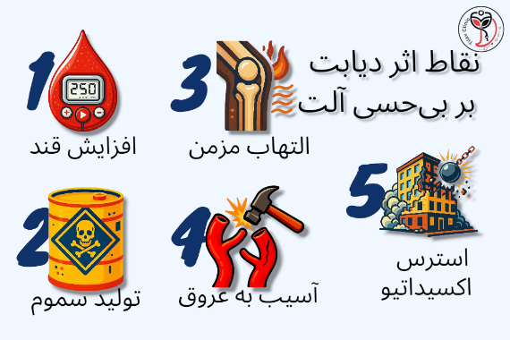 اثر قند بر آلت
