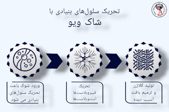 تحریک تولید سلول‌های بنیادی