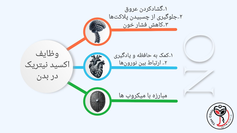 وظیفه نیتریک اکسید