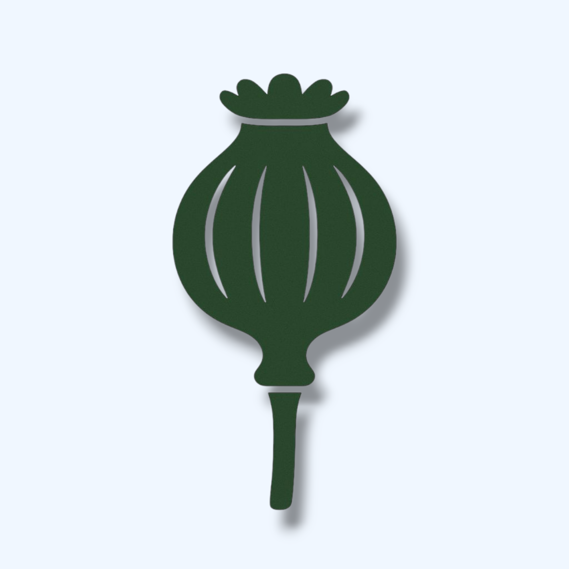 تاثیر ترامادول بر رابطه جنسی